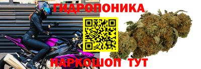 кокс Аргун