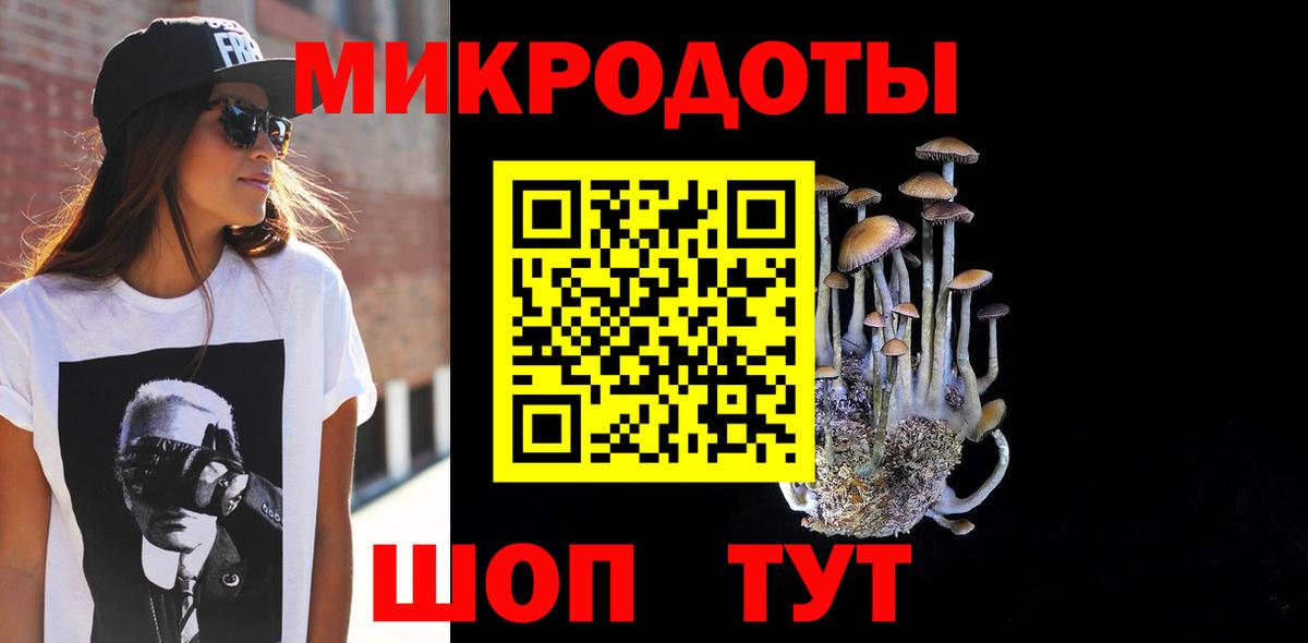 Галлюциногенные грибы мицелий  где продают наркотики  Вход с VPN  Выборг  Псилоцибиновые грибы Cubensis 